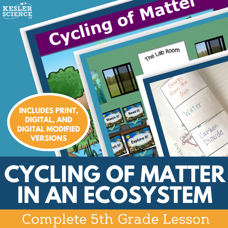 Cycling of Matter in an Ecosystem - Complete Lesson Plan - 5th Grade