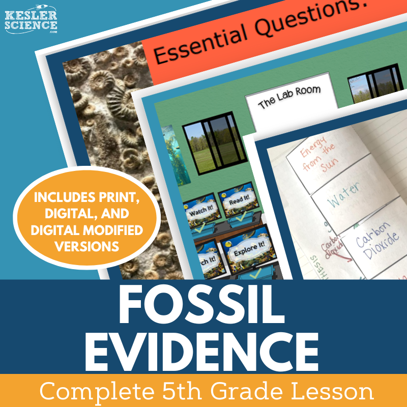 Fossil Evidence - Complete Lesson Plan - 5th Grade