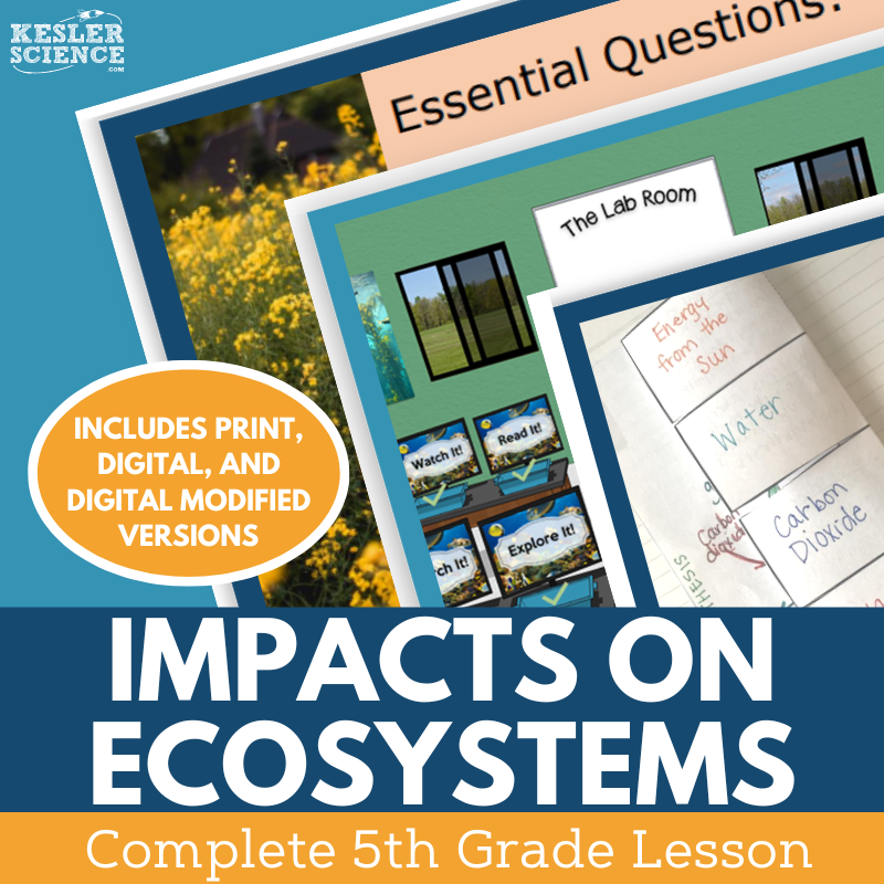 Impacts on Ecosystems - Complete Lesson Plan - 5th Grade