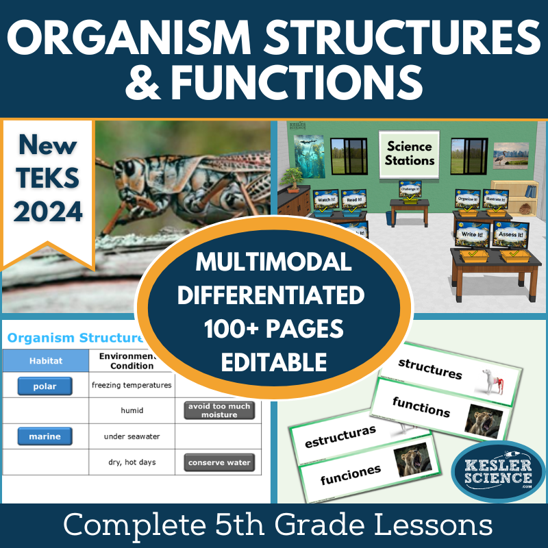 Organism Structures & Function Complete Science Lesson - Grade 5, New TEKS 5.13A