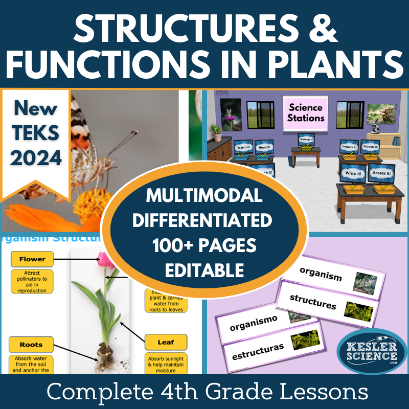 Structures & Functions - Complete Lesson Plan - 4th Grade