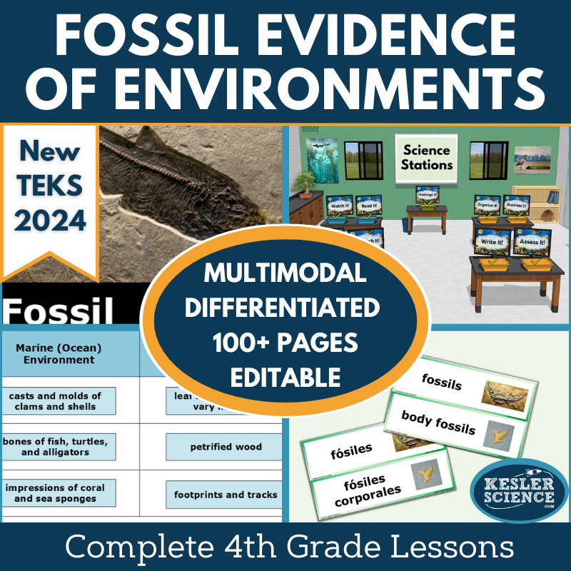 Fossil Evidence of Environments Complete Science Lesson - Gr 4, New TEKS 4.12C