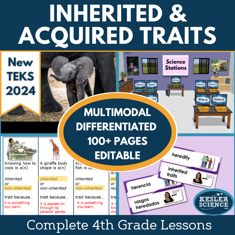 Inherited & Acquired Traits Complete Science Lesson - Grade 4, New TEKS 4.13B