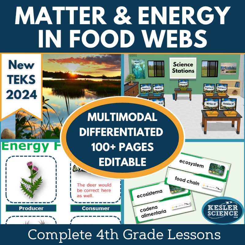 Matter & Energy in Food Webs Complete Science Lesson - Grade 4, New TEKS 4.12B