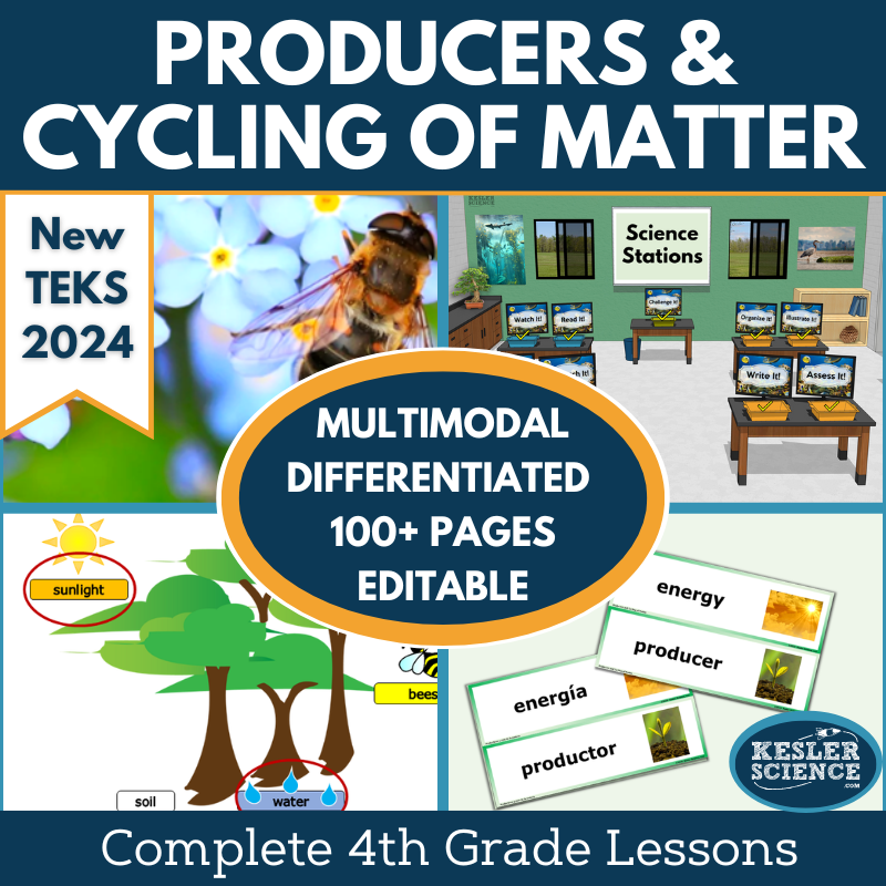 Producers & Cycling of Matter Complete Science Lesson - Grade 4, New TEKS 4.12A