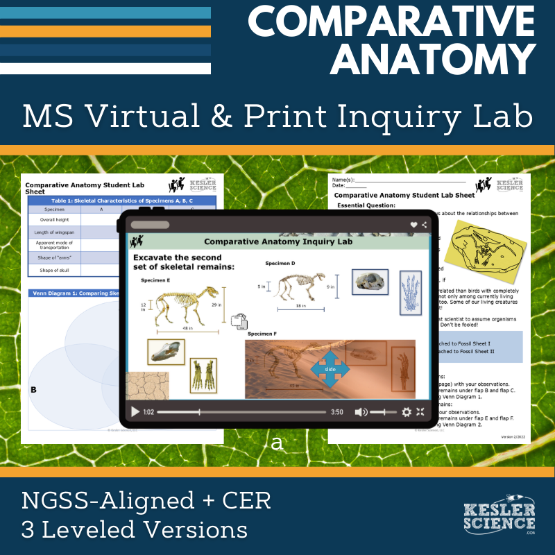 Comparative Anatomy Digital Inquiry Lab - NGSS MS LS4-2