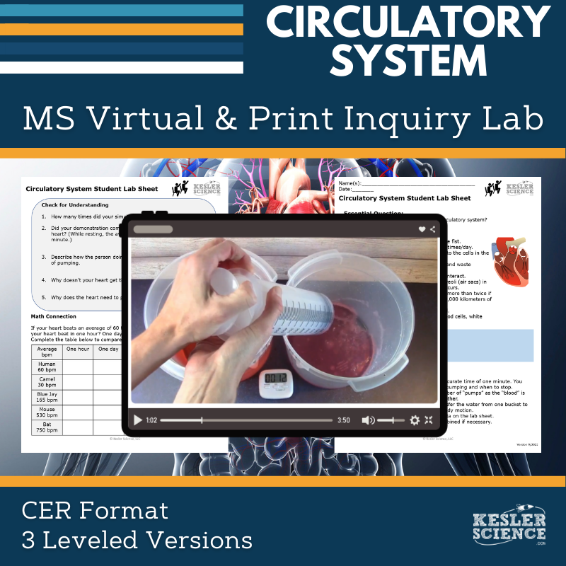 Circulatory System Digital Inquiry Lab - MS 6-8