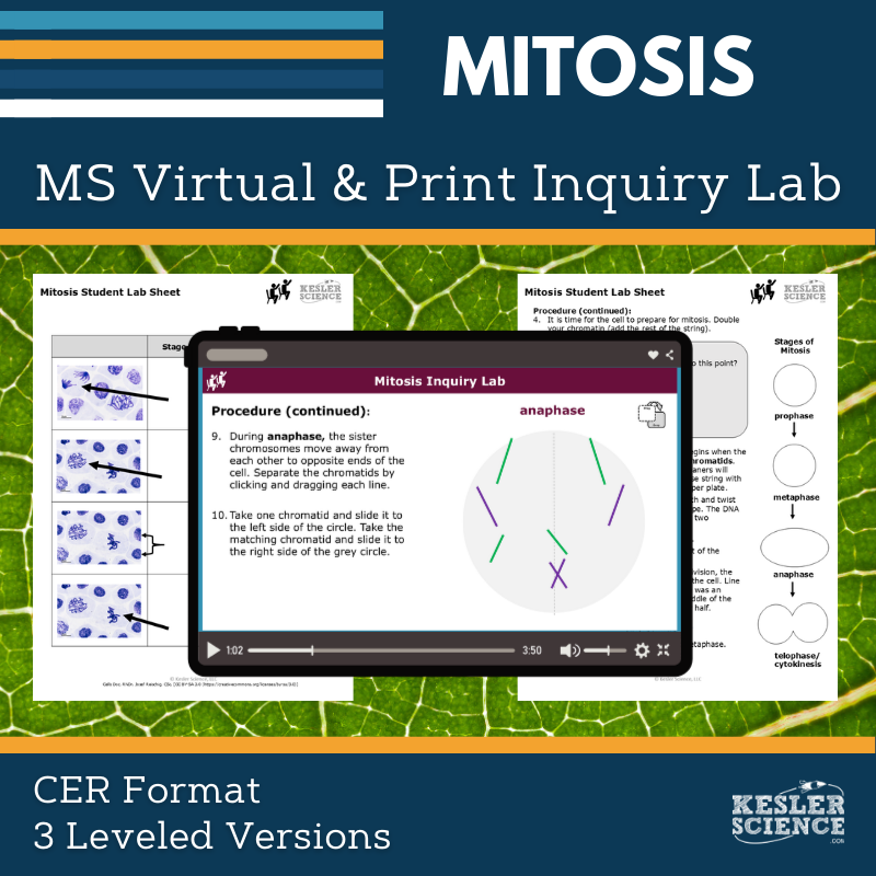 Mitosis Digital Inquiry Lab - MS 6-8