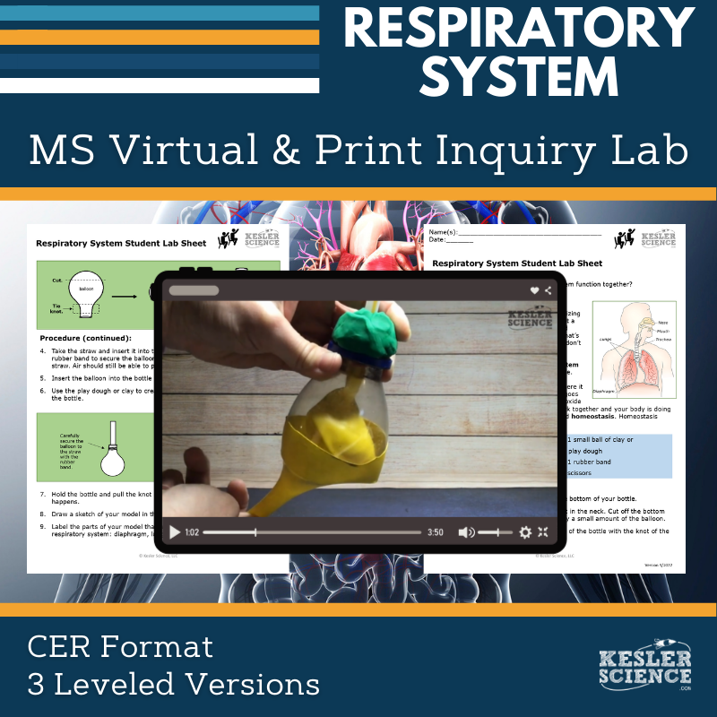 Respiratory System Digital Inquiry Lab - MS 6-8