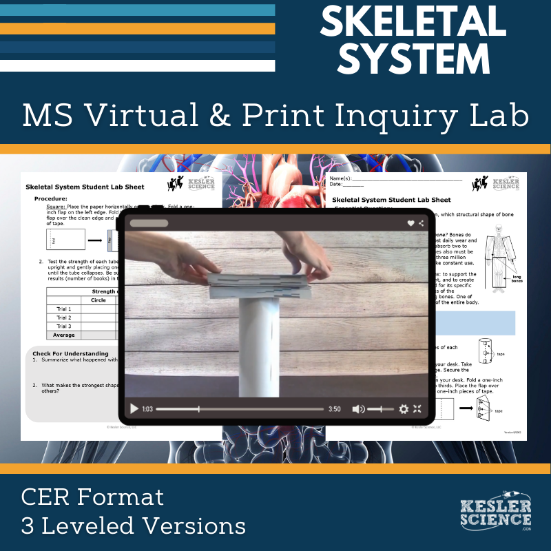 Skeletal System Digital Inquiry Lab - MS 6-8