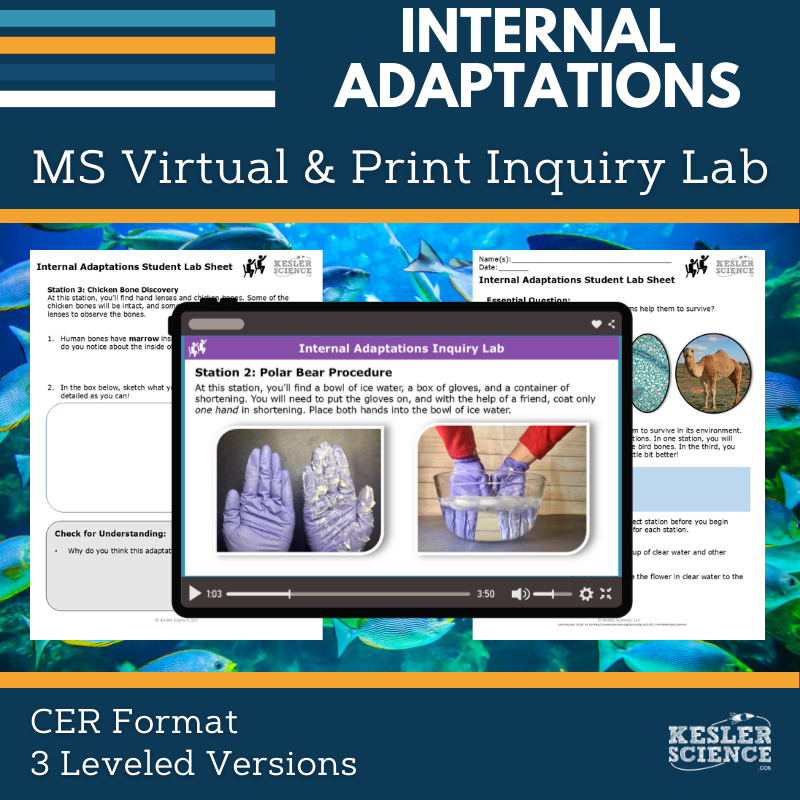 Internal Adaptations Digital Inquiry Lab - MS 6-8