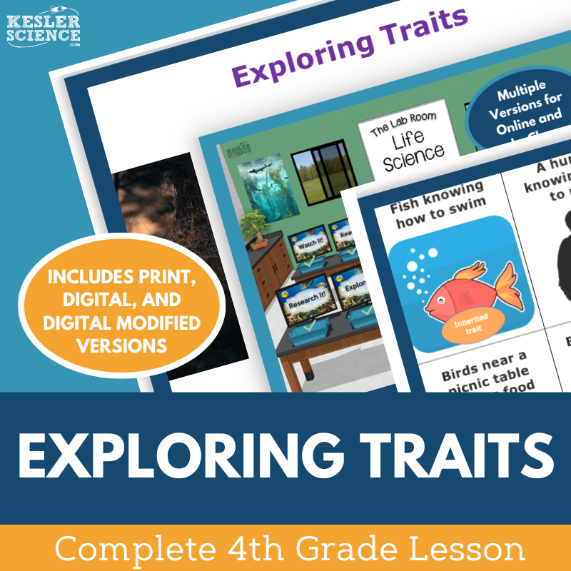 Exploring Traits - Complete Lesson Plan - 4th Grade