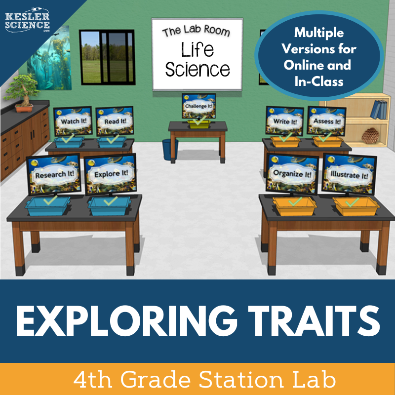 Exploring Traits - Student Choice Projects - 4th Grade