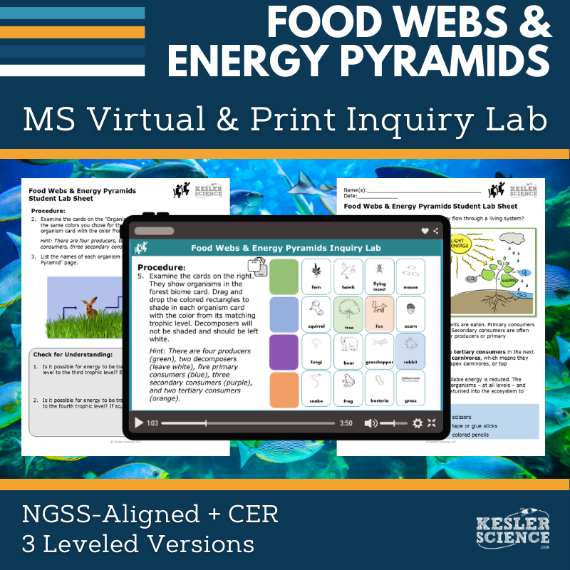 Food Webs & Energy Pyramids Digital Inquiry Lab - NGSS MS LS1-6