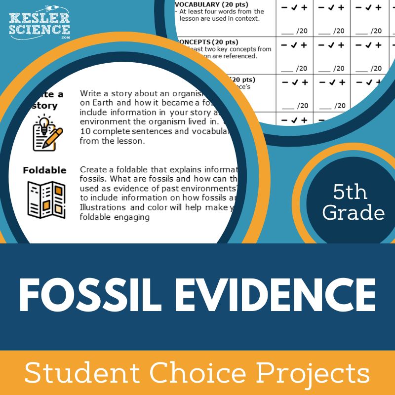 Fossil Evidence - Student Choice Projects - 5th Grade
