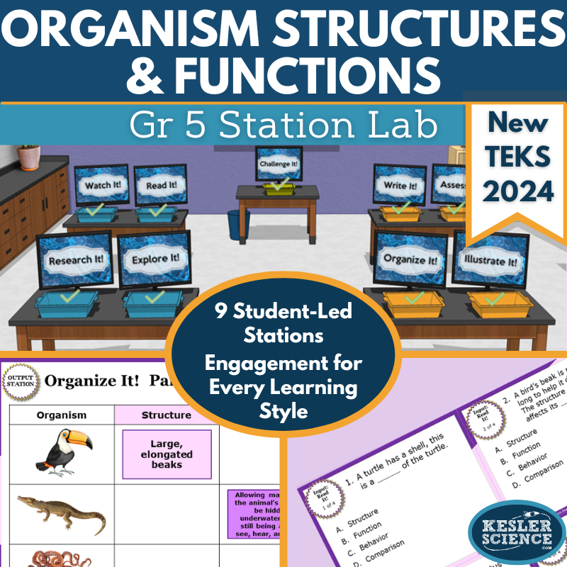 Organism Structures & Functions Student-Led Station Lab - Gr 5, New TEKS 5.13A