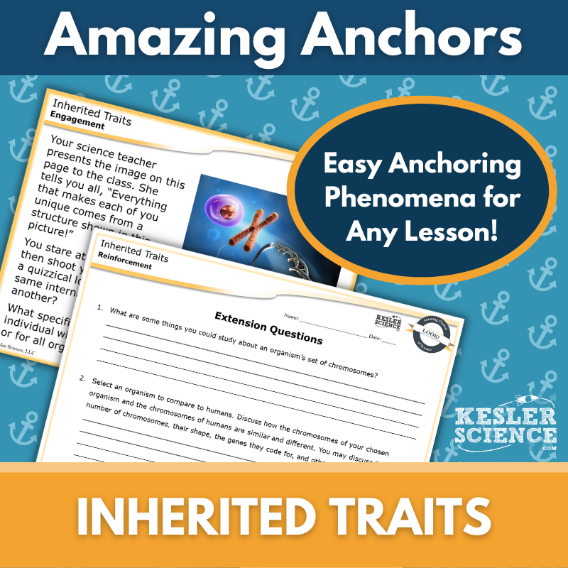 Amazing Anchors Inherited Traits - MS 6-8
