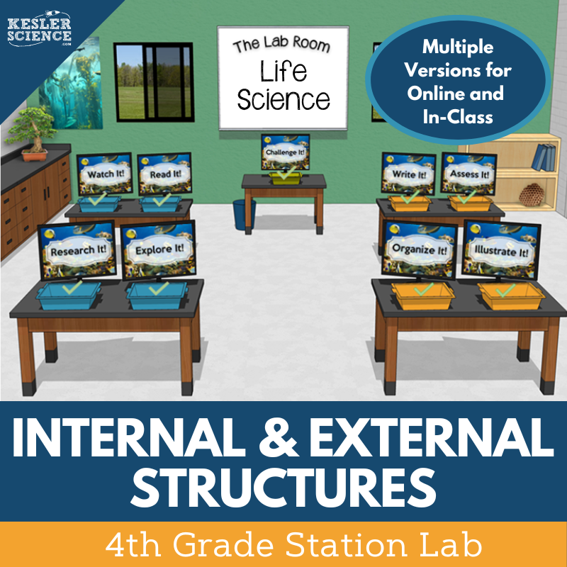 Internal & External Structures - Student-Led Station Lab - 4th Grade