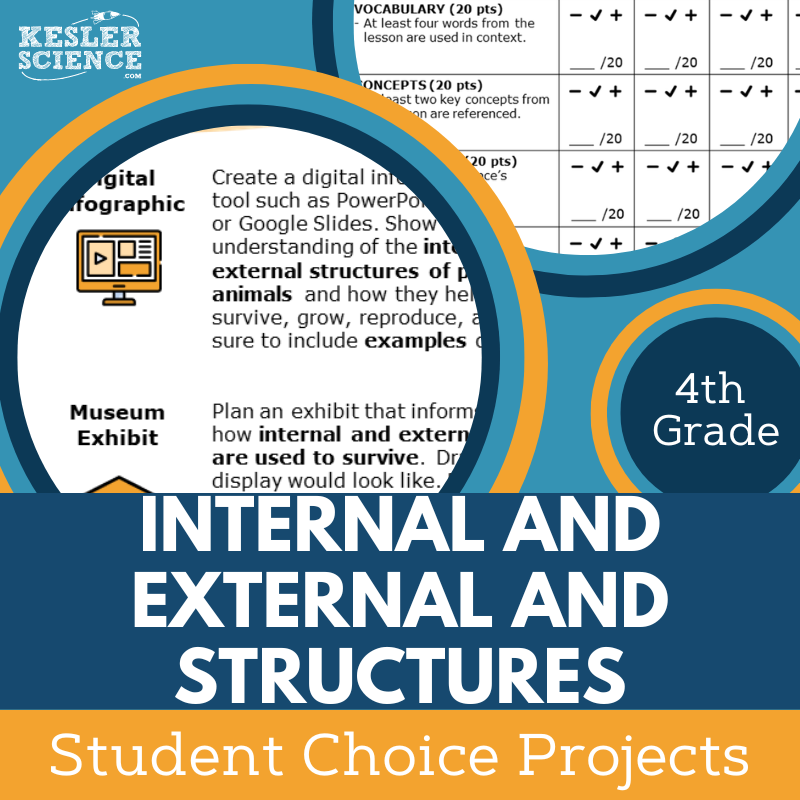 Internal & External Structures - Student Choice Projects - NGSS 4-LS1 ...
