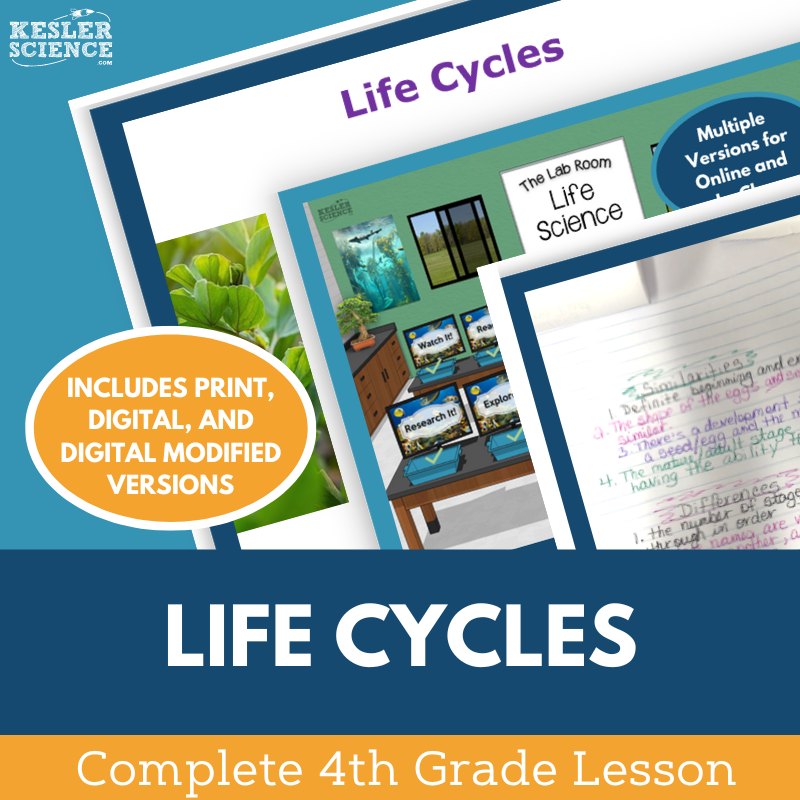 Life Cycles - Complete Lesson Plan - 4th Grade