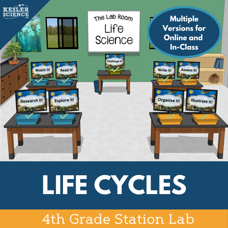 Life Cycles - Student-Led Station Lab - 4th Grade