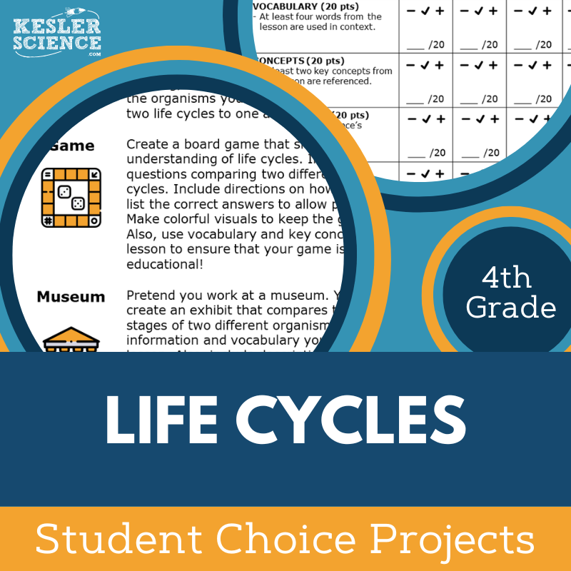 Life Cycles - Student Choice Projects - 4th Grade