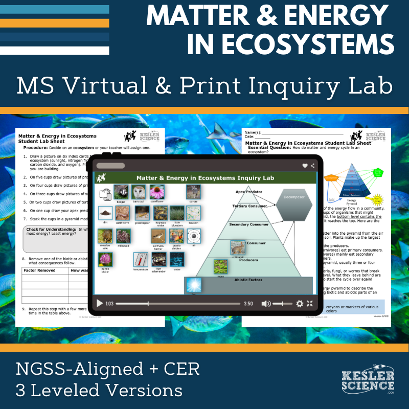 Matter & Energy in Ecosystems Digital Inquiry Lab - NGSS MS LS2-3