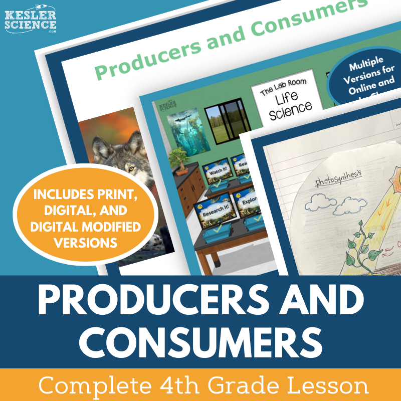 Producers & Consumers - Complete Lesson Plan - 4th Grade