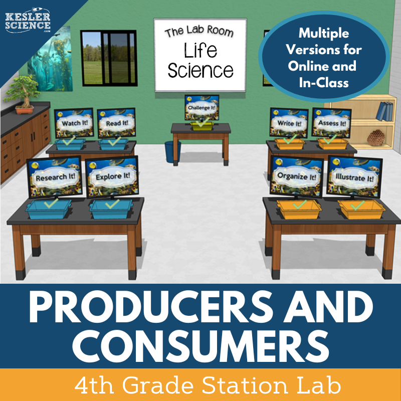 Producers & Consumers - Student-Led Station Lab - 4th Grade