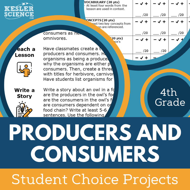 Producers & Consumers - Student Choice Projects - 4th Grade