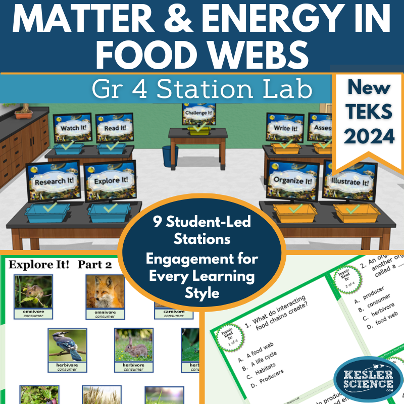 Matter & Energy in Food Webs Student-Led Station Lab - Grade 4, New TEKS 4.12B