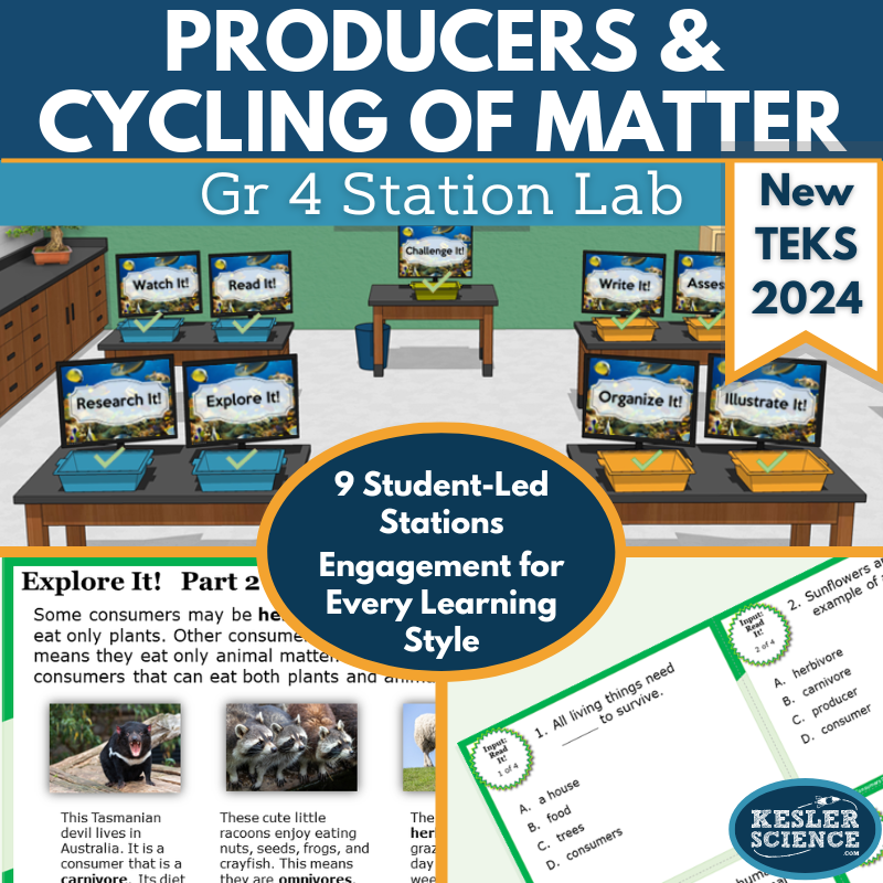 Producers & Cycling of Matter Student-Led Station Lab - Grade 4, New TEKS 4.12A