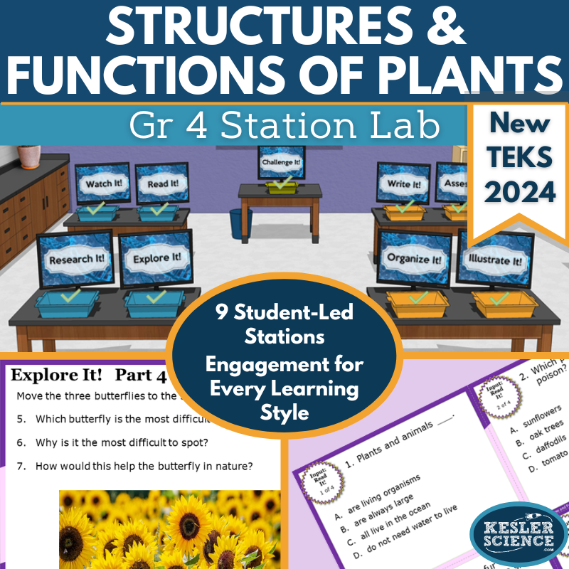 Structures & Functions of Plants Student-Led Station Lab - Gr 4, New TEKS 4.13A