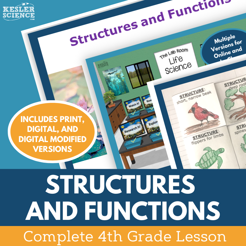 Structures & Functions - Complete Lesson Plan - Grades 4-6