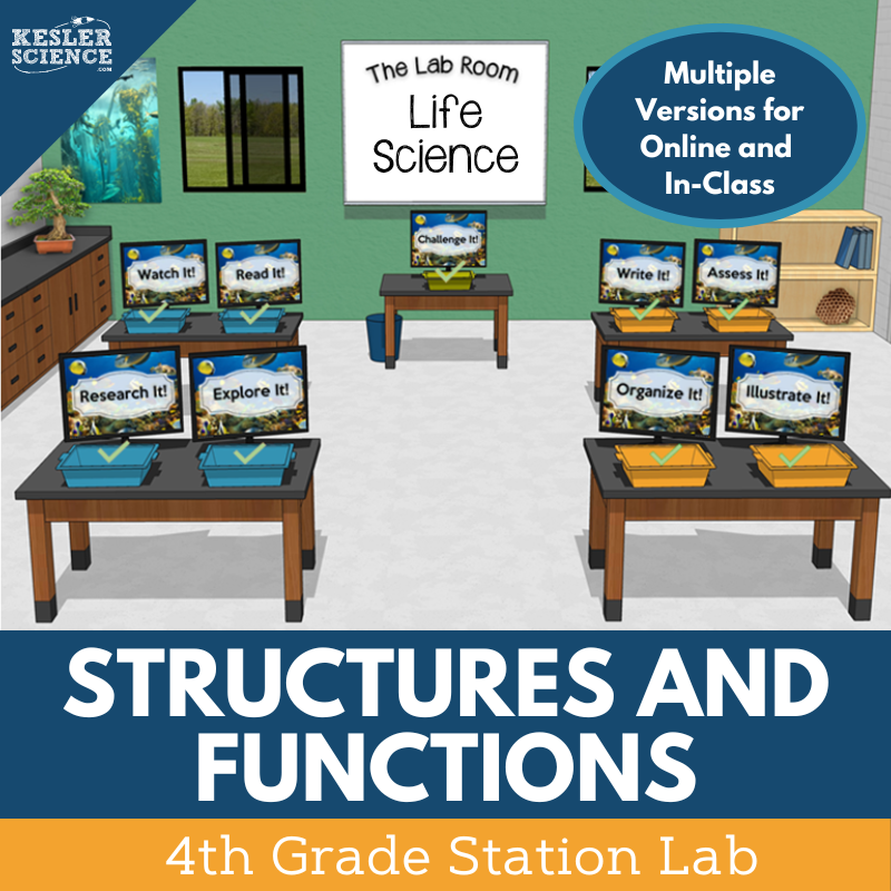 Structures & Functions - Student-Led Station Lab - 4th Grade