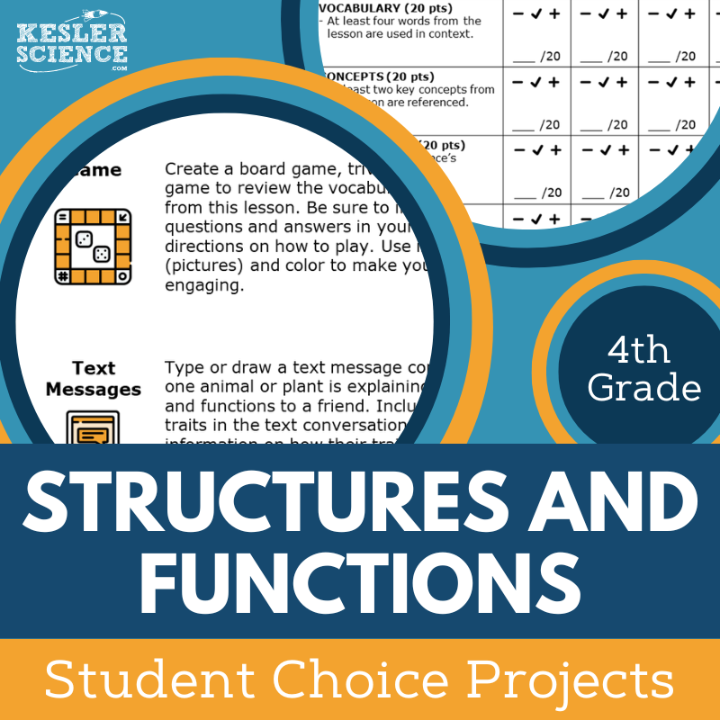 Structures & Functions - Student Choice Projects - 4th Grade