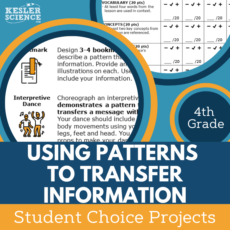 Using Patterns to Transfer Information- Student Choice Projects - 4th Grade