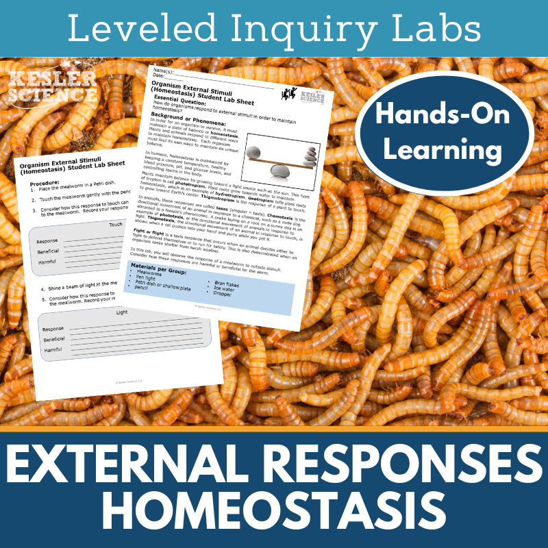 Response to External Stimuli - Homeostasis Inquiry Lab - MS 6-8 Science