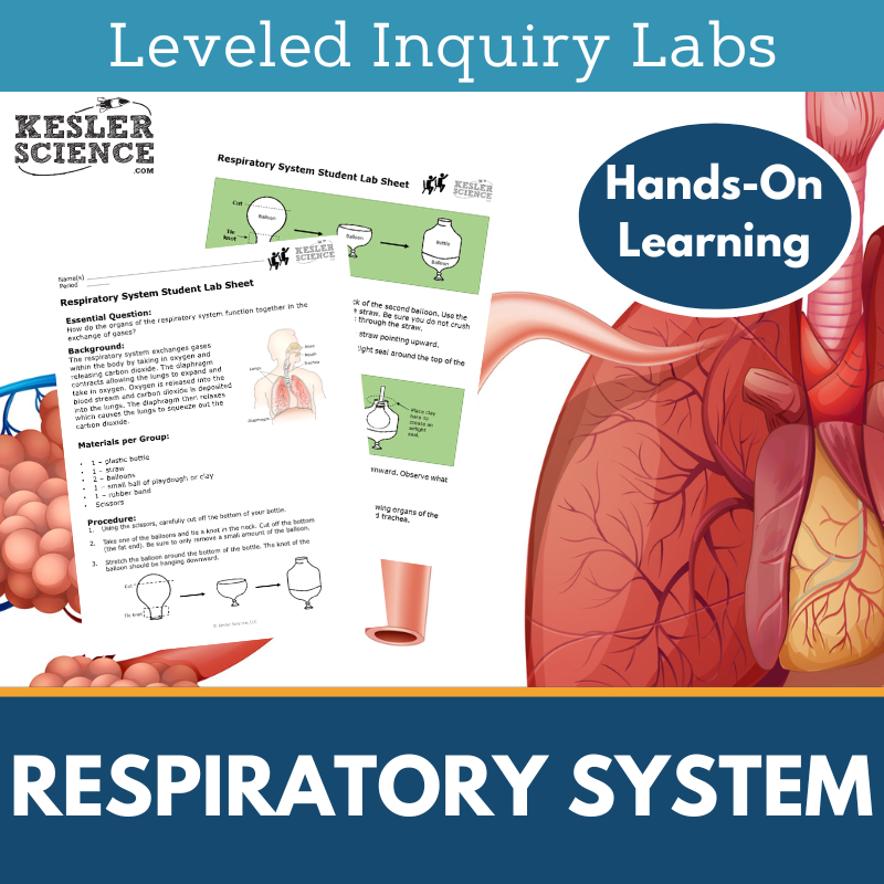 Respiratory System Inquiry Lab - MS 6-8 Science TEKS