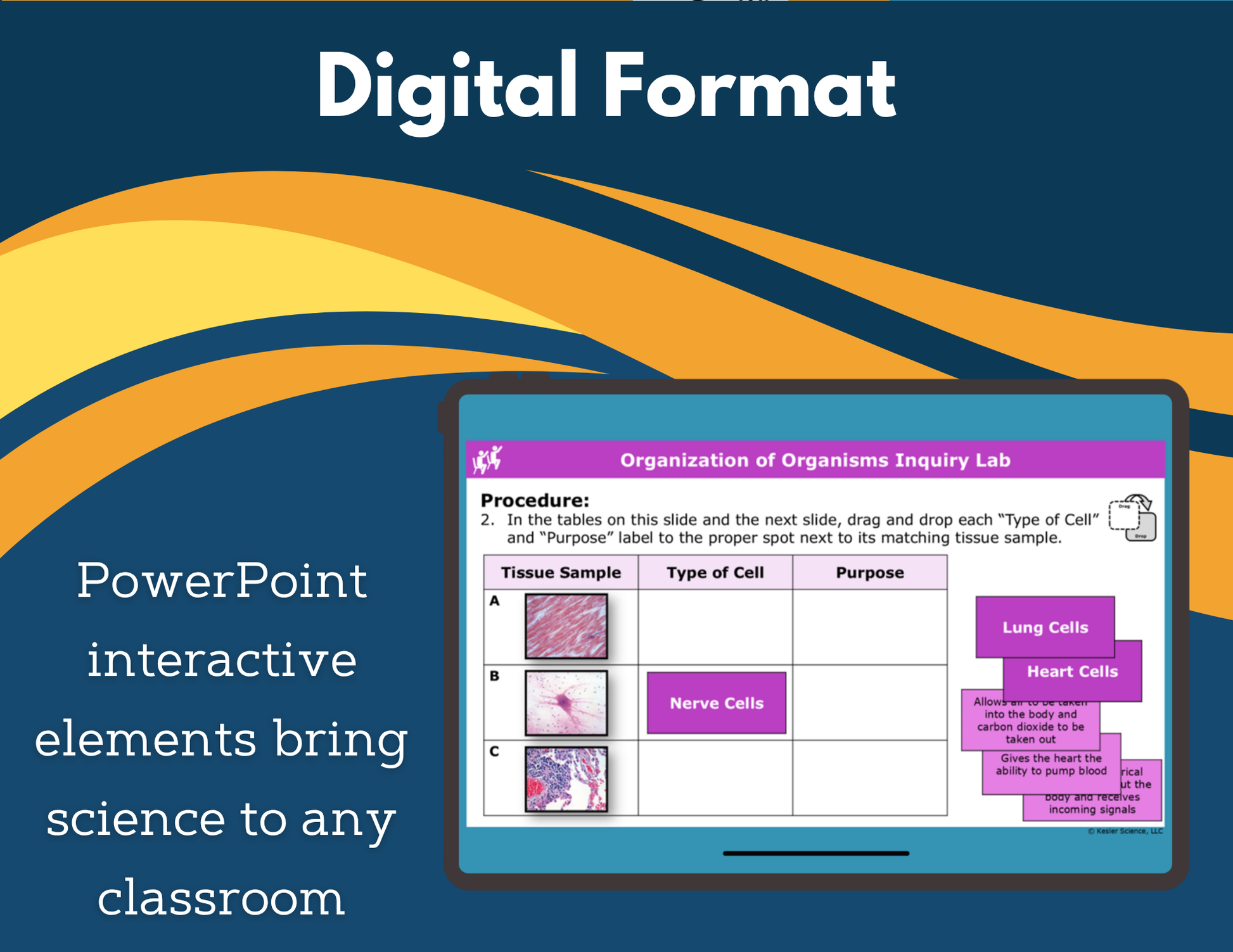 Organization of Organisms Digital Inquiry Lab - NGSS MS LS1-3
