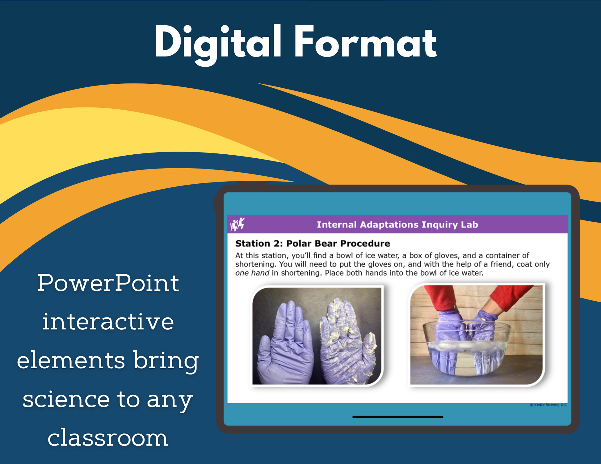 Internal Adaptations Digital Inquiry Lab - MS 6-8