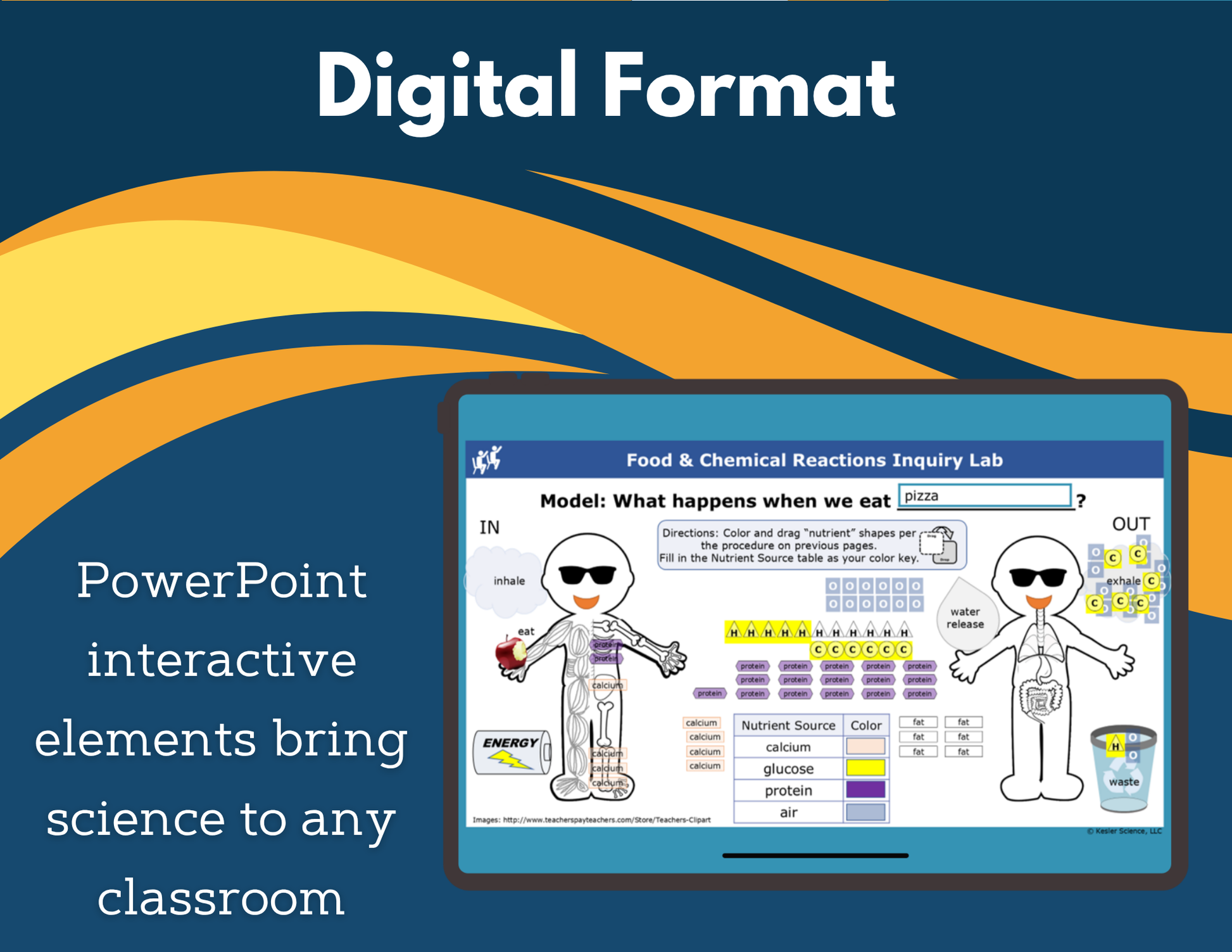 Food & Chemical Reactions Digital Inquiry Lab - NGSS MS LS1-7