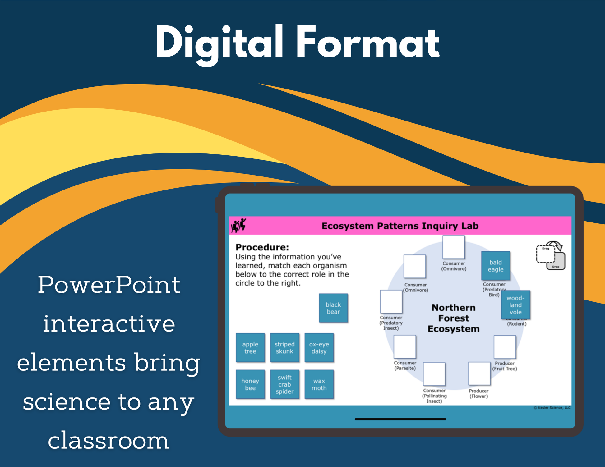 Interactions in Ecosystems Digital Inquiry Lab - NGSS MS LS2-2