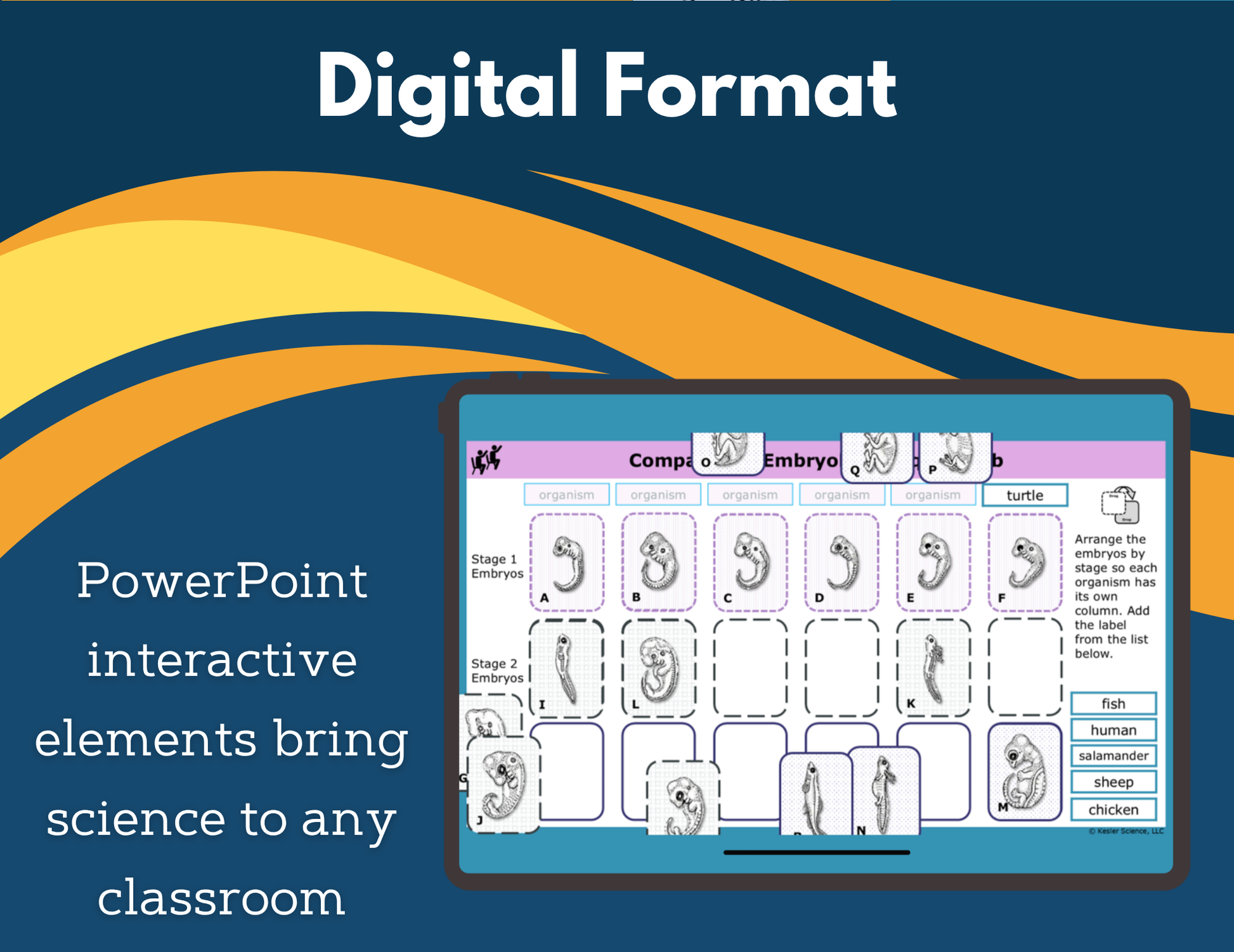 Comparative Embryology Digital Inquiry Lab - NGSS MS LS4-3