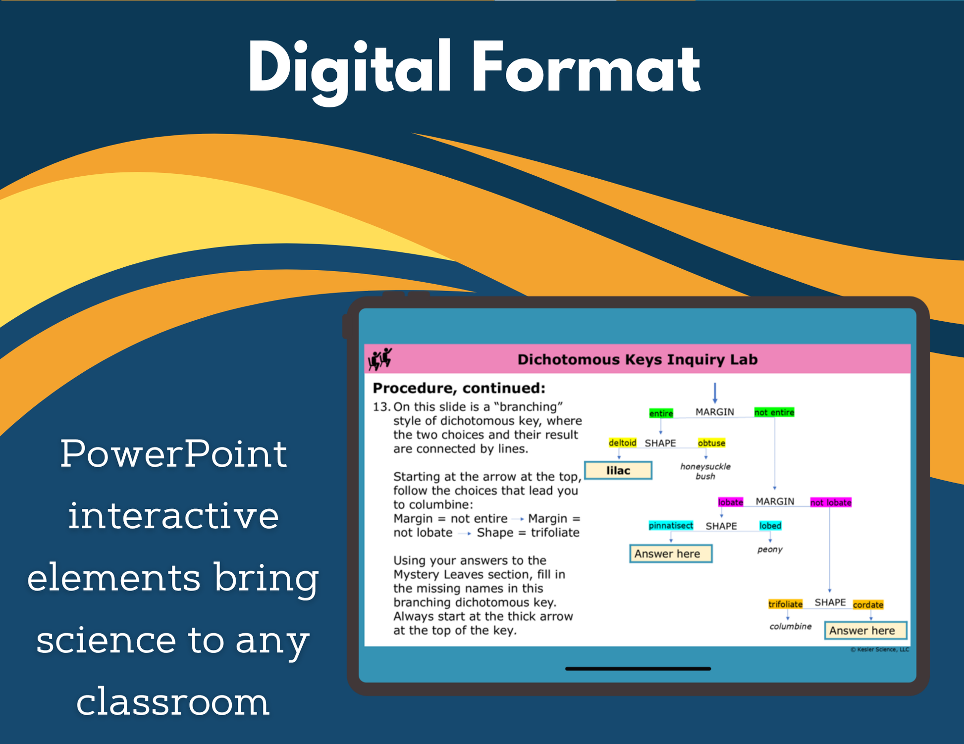 Dichotomous Keys Digital Inquiry Lab - MS 6-8