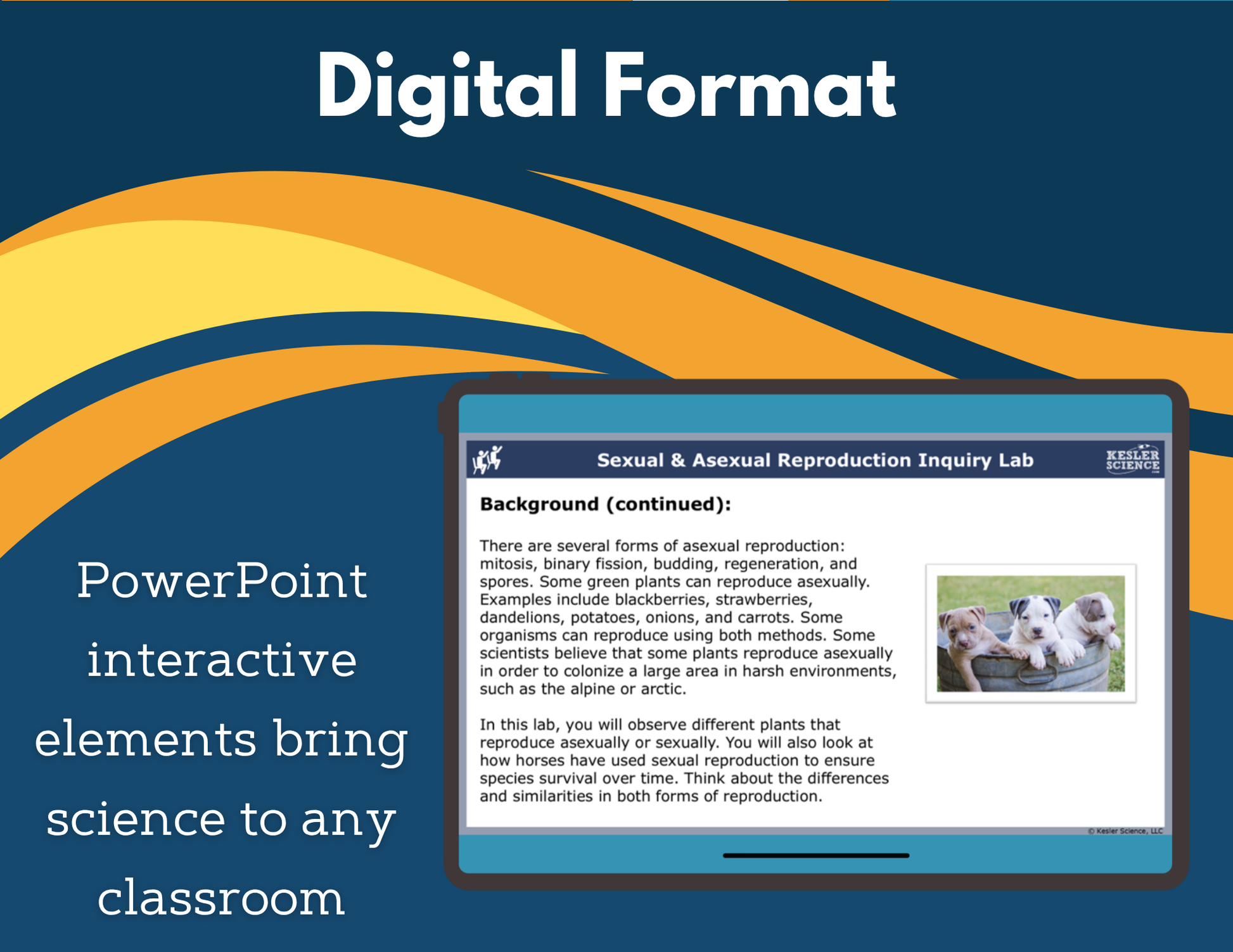 Sexual & Asexual Reproduction Digital Inquiry Lab - MS 6-8