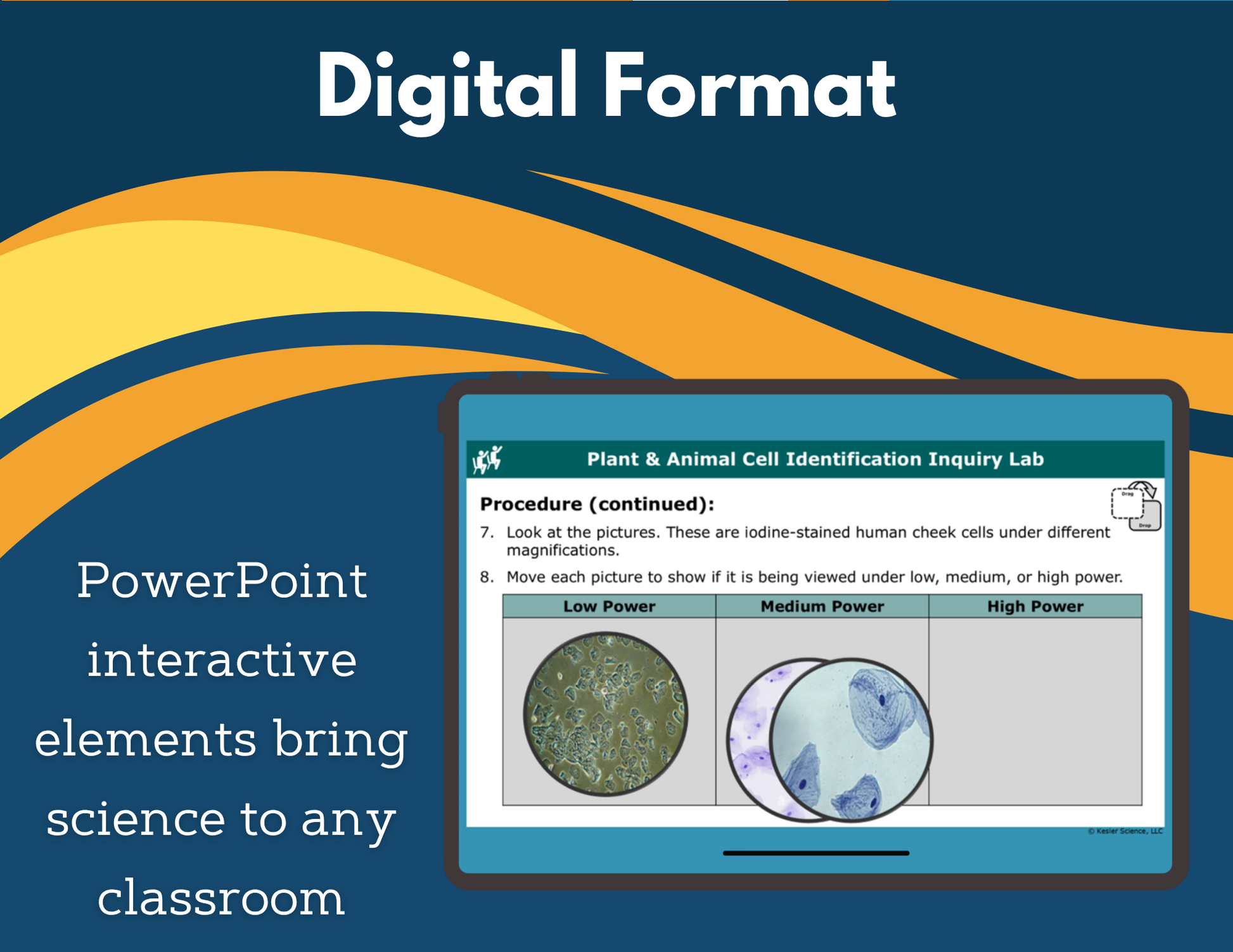 Plant & Animal Cell ID Digital Inquiry Lab - NGSS MS LS1-2