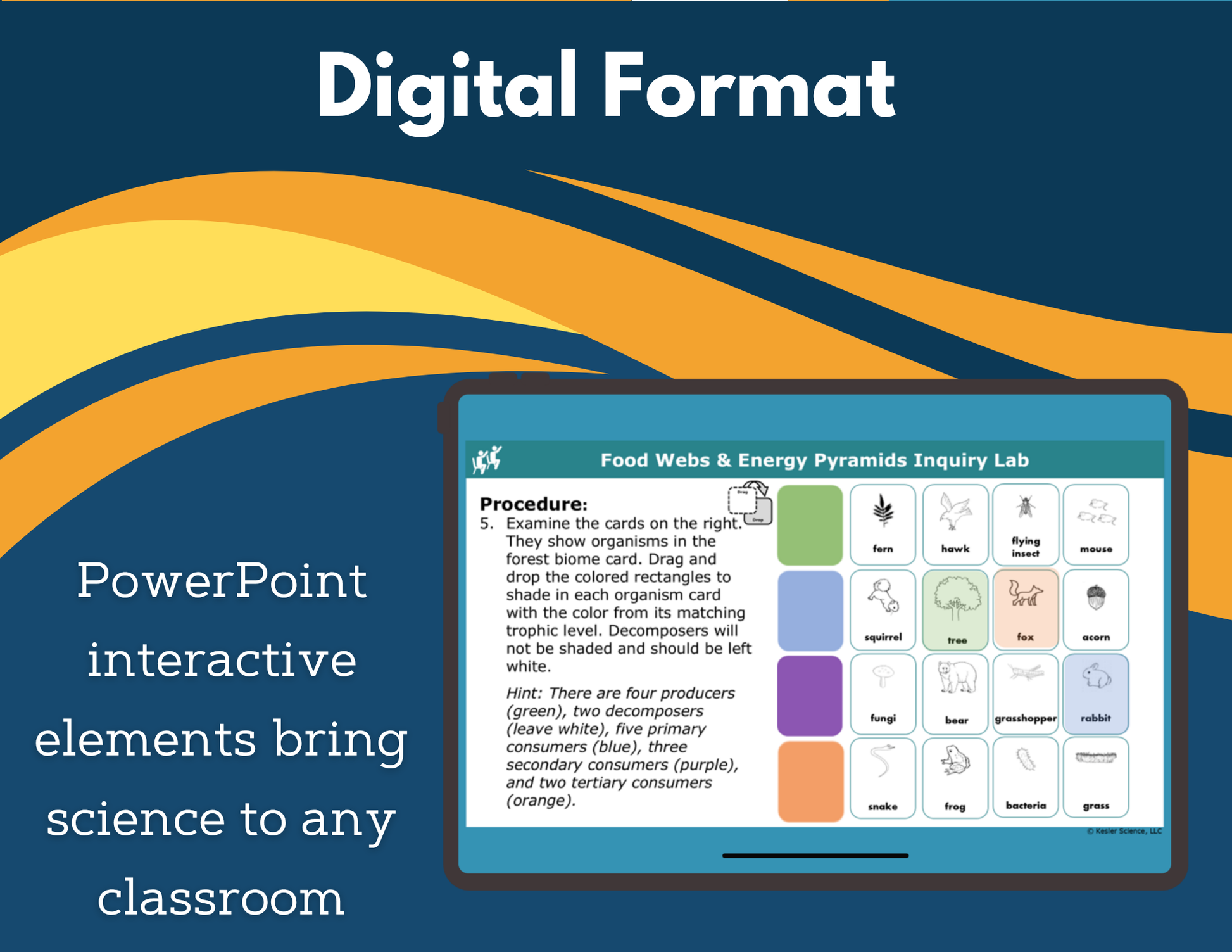 Food Webs & Energy Pyramids Digital Inquiry Lab - NGSS MS LS1-6