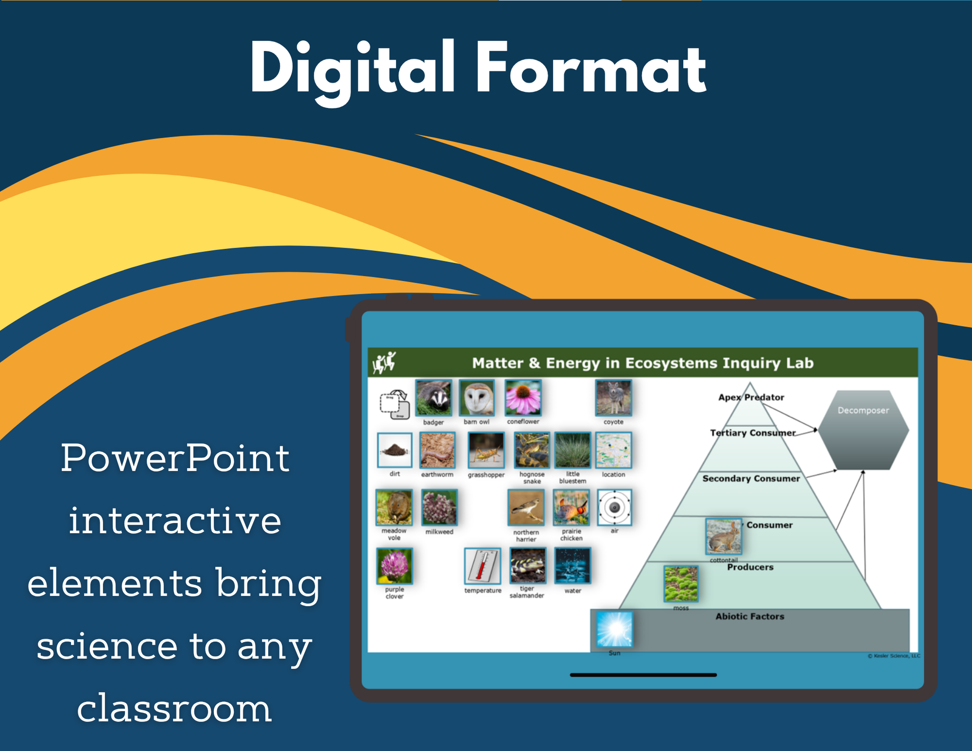 Matter & Energy in Ecosystems Digital Inquiry Lab - NGSS MS LS2-3