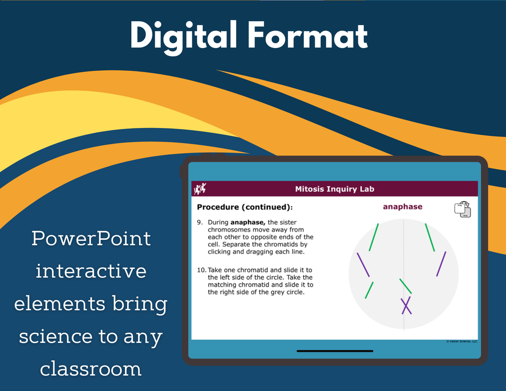 Mitosis Digital Inquiry Lab - MS 6-8